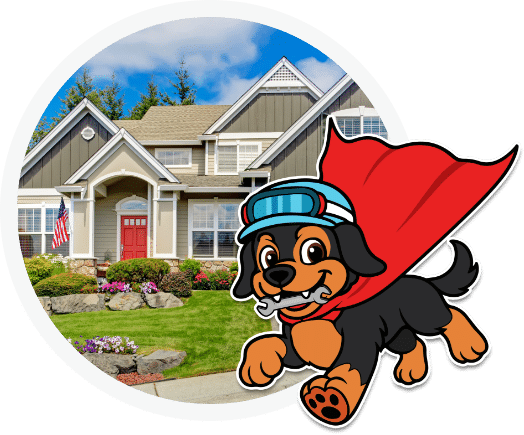 Al Thedog With Home