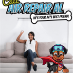 Calll Air Repaiur Al Woman With Minisplit Ac
