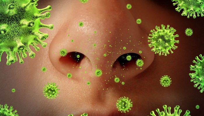 Close Up Of Nose With Germs Close Up Of Nose With Germs