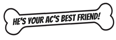 hes-you-ac_s-best-friend