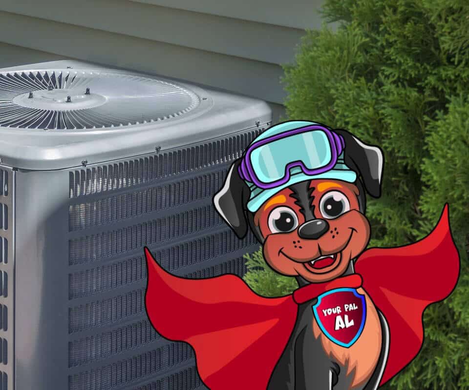 Hvac Condensor With The Dog Al Cropped