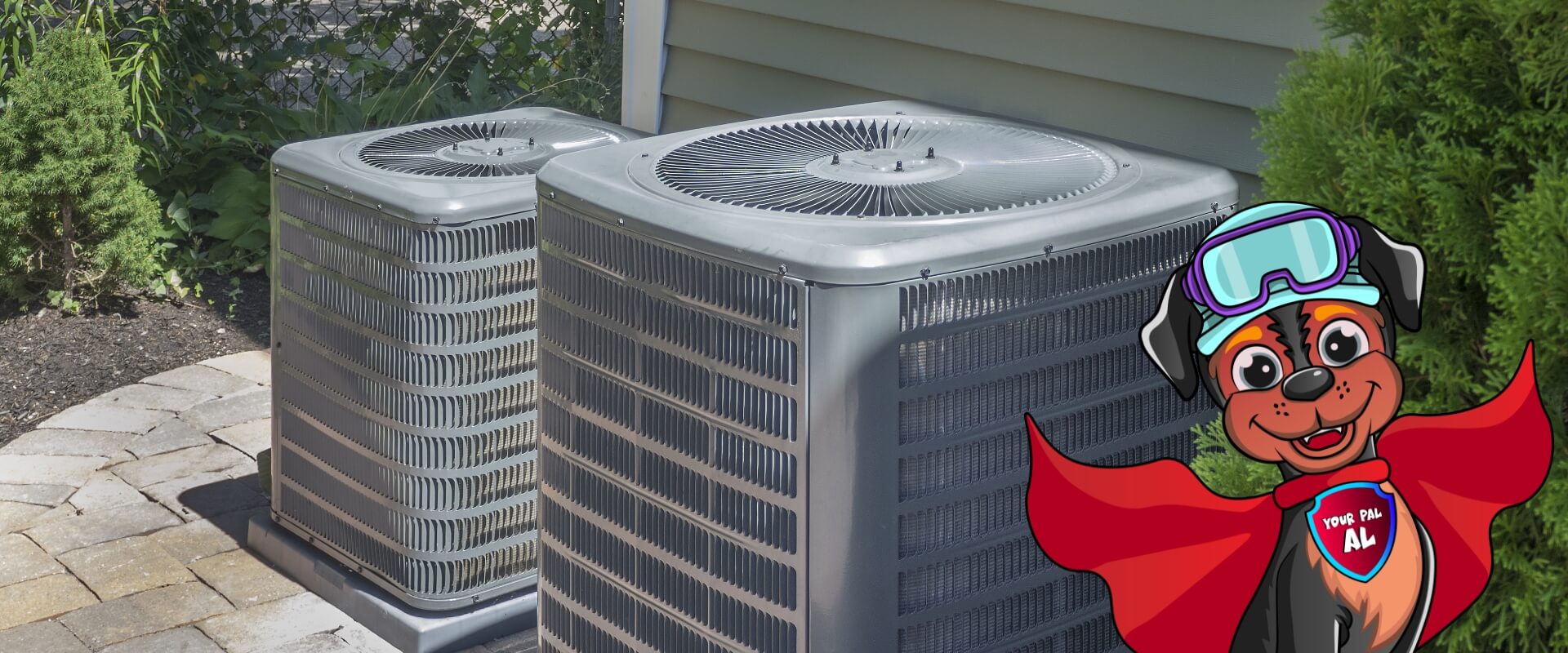 Hvac Condensor With The Dog Al