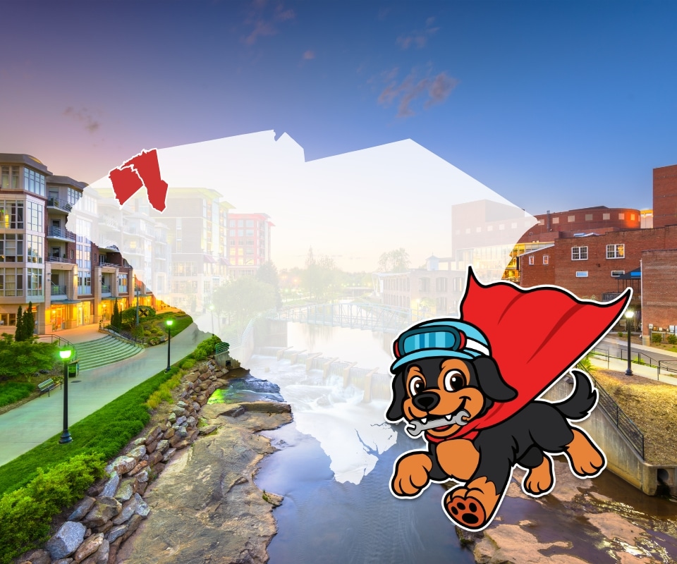 South Carolina State With Dog