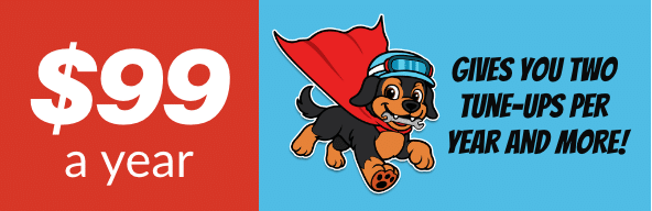 Two Tune Ups A Year For 99